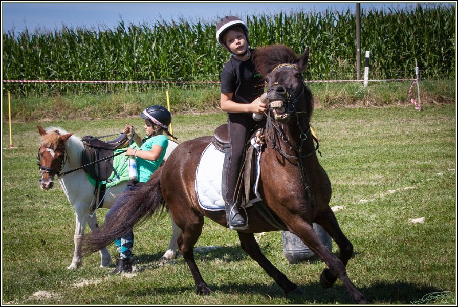 Mounted Games 086